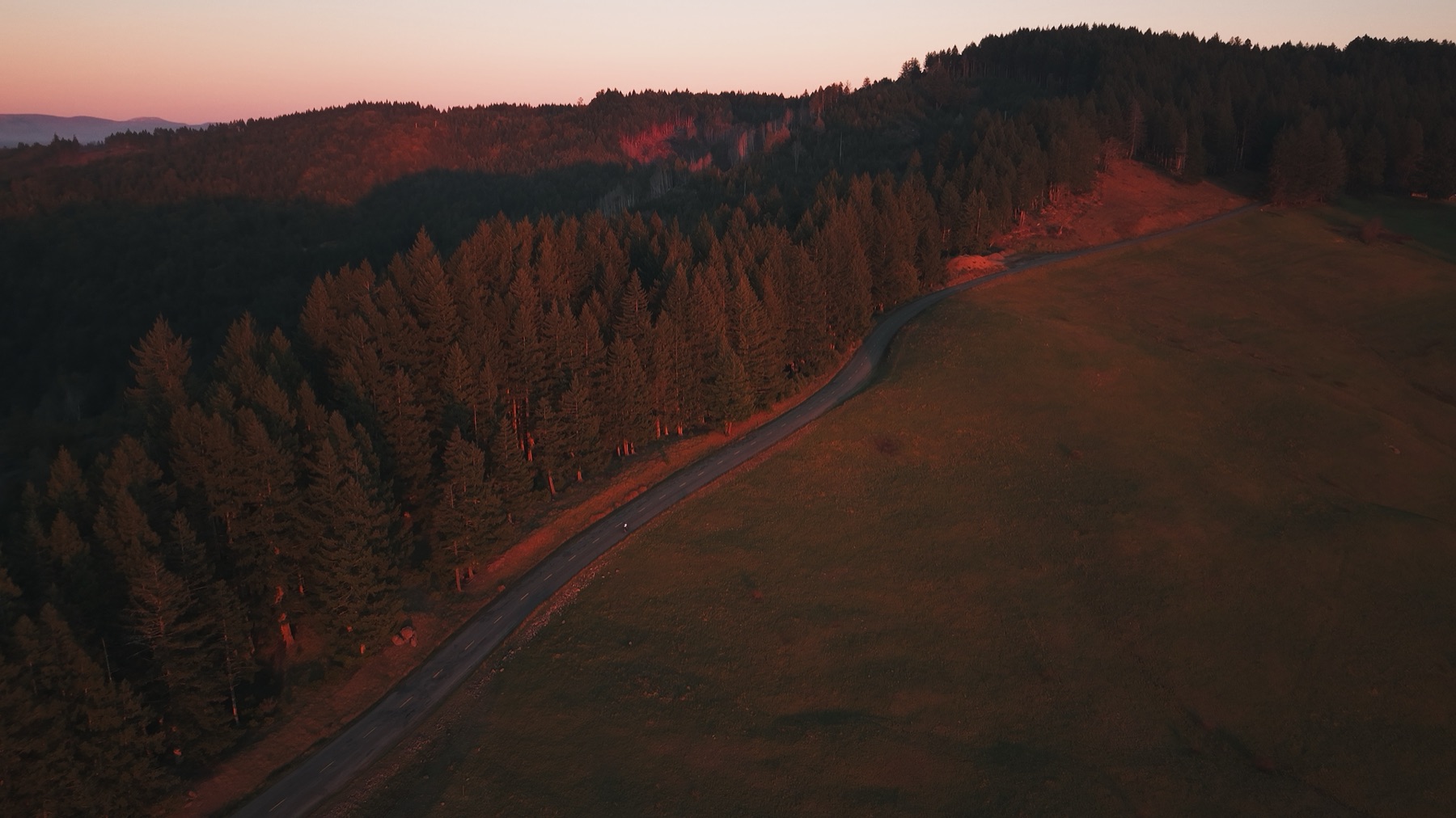 The original sunset shot. A cyclist on a forest road, warm pink and orange light across the trees.